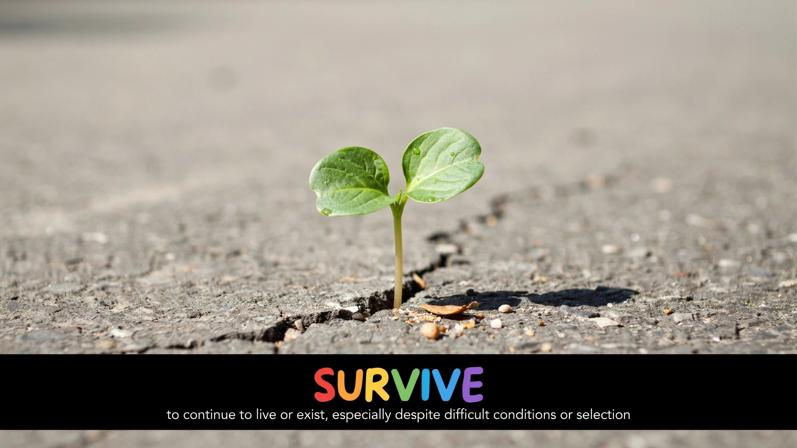 English Illustration for survive